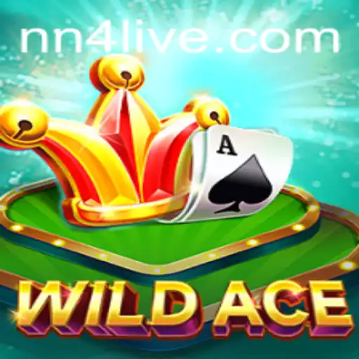 Guia Completo de WildAce: Descubra as Regras e Estratégias do Jogo